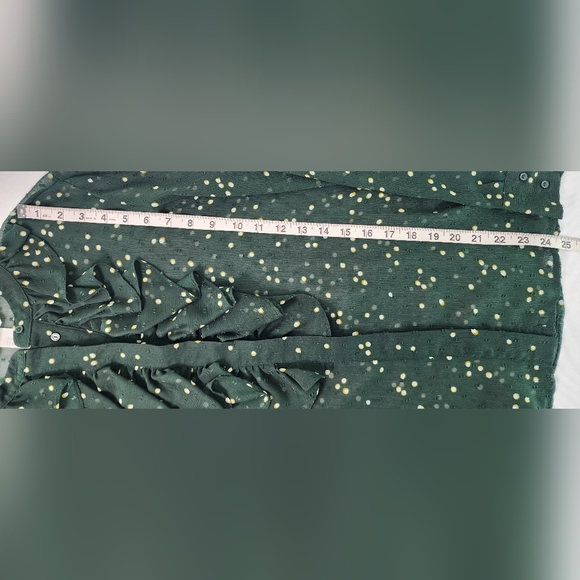 H&M Sheer Ruffled Blouse - Picture 7 of 9